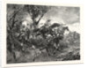 from the Battle of Mars-La-Tour Vionville, France by Anonymous