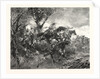 from the Battle of Mars-La-Tour Vionville, France by Anonymous