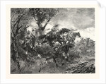 from the Battle of Mars-La-Tour Vionville, France by Anonymous