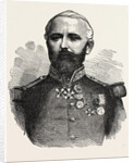 General Felix Douay, 1816 - 1879, French Army by Anonymous