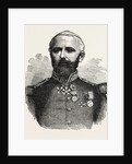 General Felix Douay, 1816 - 1879, French Army by Anonymous