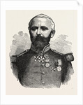 General Felix Douay, 1816 - 1879, French Army by Anonymous