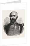 General Felix Douay, 1816 - 1879, French Army by Anonymous