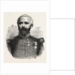General Felix Douay, 1816 - 1879, French Army by Anonymous