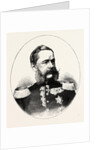 Lieutenant General George Frederick Alfred Von Fabrice, Minister of the War of Saxony and Governor General of Versailles by Anonymous