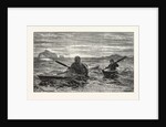 The First Lesson in Canoeing by Anonymous