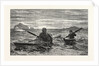 The First Lesson in Canoeing by Anonymous