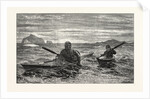 The First Lesson in Canoeing by Anonymous