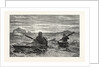 The First Lesson in Canoeing by Anonymous