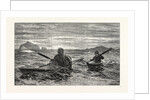 The First Lesson in Canoeing by Anonymous