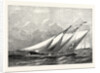 Royal Yacht Squadron Regatta: Race for the Town Cup: The Prince of Wales's Yacht Hildegarde Rounding the Flag-Boat at the Lepe Buoy by Anonymous