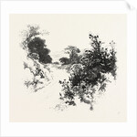 A Roadside Sketch, Canada by Anonymous