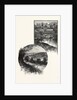 The Thames Valley, below London; Springbank, Canada by Anonymous
