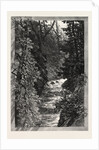 A Trout Pool on the Saugeen, Canada by Anonymous