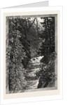 A Trout Pool on the Saugeen, Canada by Anonymous