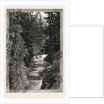 A Trout Pool on the Saugeen, Canada by Anonymous