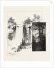 Eugenia Falls, and a Glimpse of Georgian Bay, Canada by Anonymous