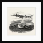 New Brunswick, Beacon Light, St. John, at Low and High Tide, Canada by Anonymous