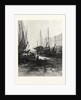 New Brunswick, Market Slip, St. John, at Low Tide, Canada by Anonymous