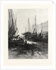 New Brunswick, Market Slip, St. John, at Low Tide, Canada by Anonymous