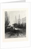 New Brunswick, Market Slip, St. John, at Low Tide, Canada by Anonymous