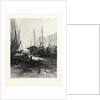 New Brunswick, Market Slip, St. John, at Low Tide, Canada by Anonymous