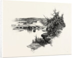New Brunswick, Looking Up South-West Miramichi, Canada by Anonymous