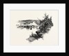 New Brunswick, Looking Up South-West Miramichi, Canada by Anonymous