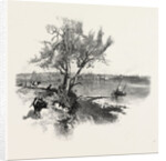 Nova Scotia, Pictou, Canada by Anonymous