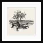 Nova Scotia, Pictou, Canada by Anonymous