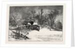 Triumph of the Snow-Plough, Canada by Anonymous
