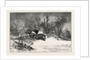 Triumph of the Snow-Plough, Canada by Anonymous