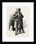 French Canadian Life, an Old Habitant, Canada by Anonymous