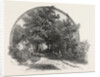 On the Road to St. Joachim, Canada by Anonymous