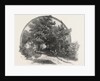 On the Road to St. Joachim, Canada by Anonymous