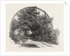 On the Road to St. Joachim, Canada by Anonymous