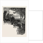 Montreal Drive, Canada by Anonymous