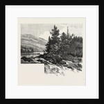 The Lower Ottawa, Mcgillivray's Chute, River Rouge, Canada by Anonymous