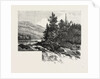 The Lower Ottawa, Mcgillivray's Chute, River Rouge, Canada by Anonymous