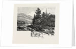 The Lower Ottawa, Mcgillivray's Chute, River Rouge, Canada by Anonymous
