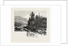 The Lower Ottawa, Mcgillivray's Chute, River Rouge, Canada by Anonymous