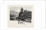The Lower Ottawa, Mcgillivray's Chute, River Rouge, Canada by Anonymous