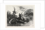 Lower Ottawa, on the Portage, Lake Comandeau, Canada by Anonymous