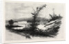 Quio, from the Chats, Canada by Anonymous