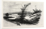 Quio, from the Chats, Canada by Anonymous