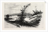 Quio, from the Chats, Canada by Anonymous
