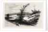 Quio, from the Chats, Canada by Anonymous