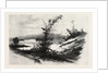 Quio, from the Chats, Canada by Anonymous