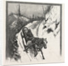 Lumbering, Canada by Anonymous