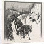 Lumbering, Canada by Anonymous